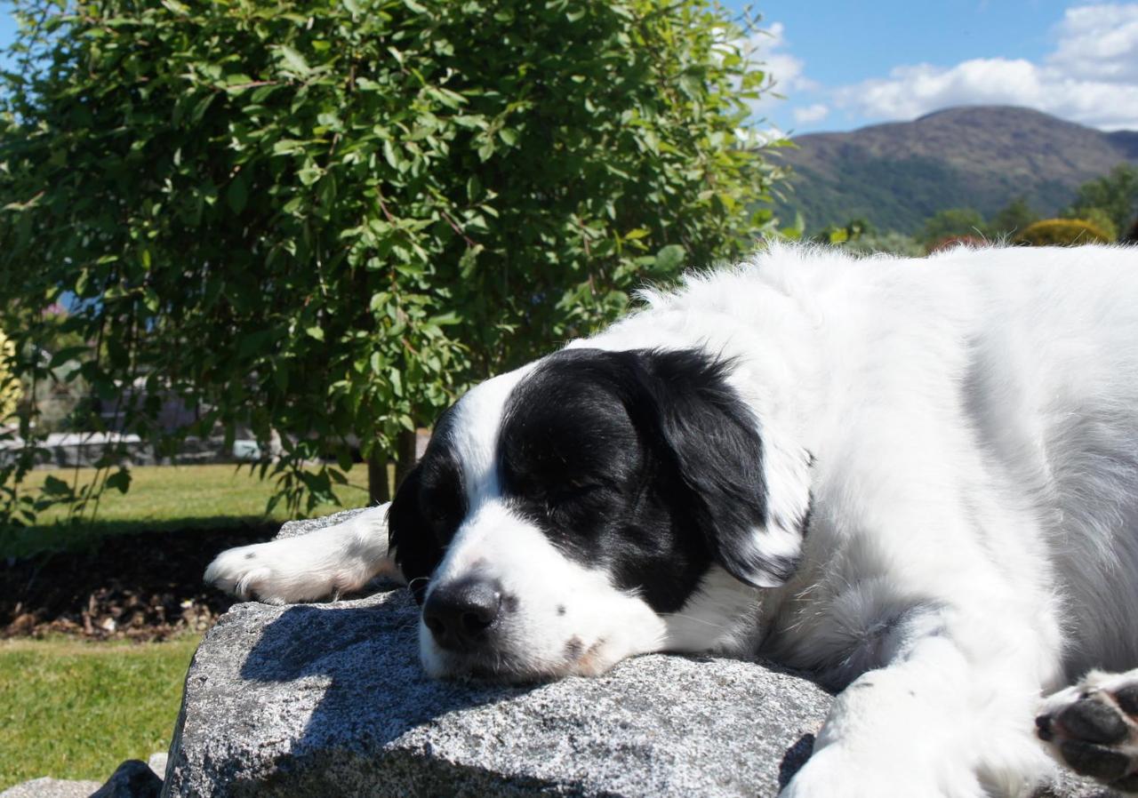 The Allanbreck Studio Glencoe Ballachulish Highlands Near Fortwilliam Exteriér fotografie